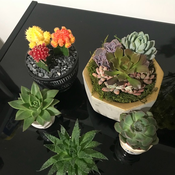 Meet your Posher, Shuying - Picture 1 of 1